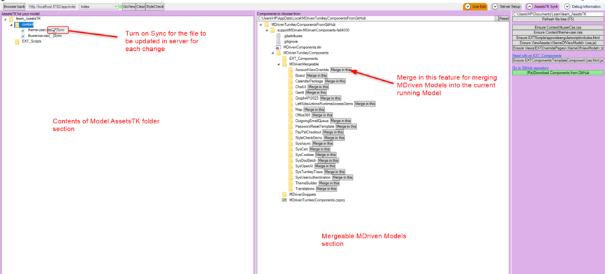 Turnkey Live Editor Server AssetsTK Synk Section